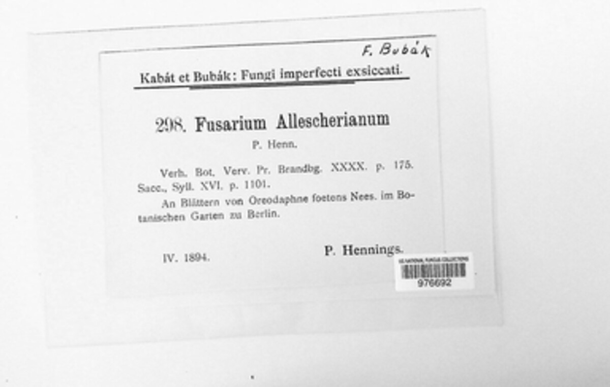 Gloeosporium allescherianum image